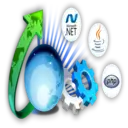 App and software development services in India for political campaigns data management and digital solutions